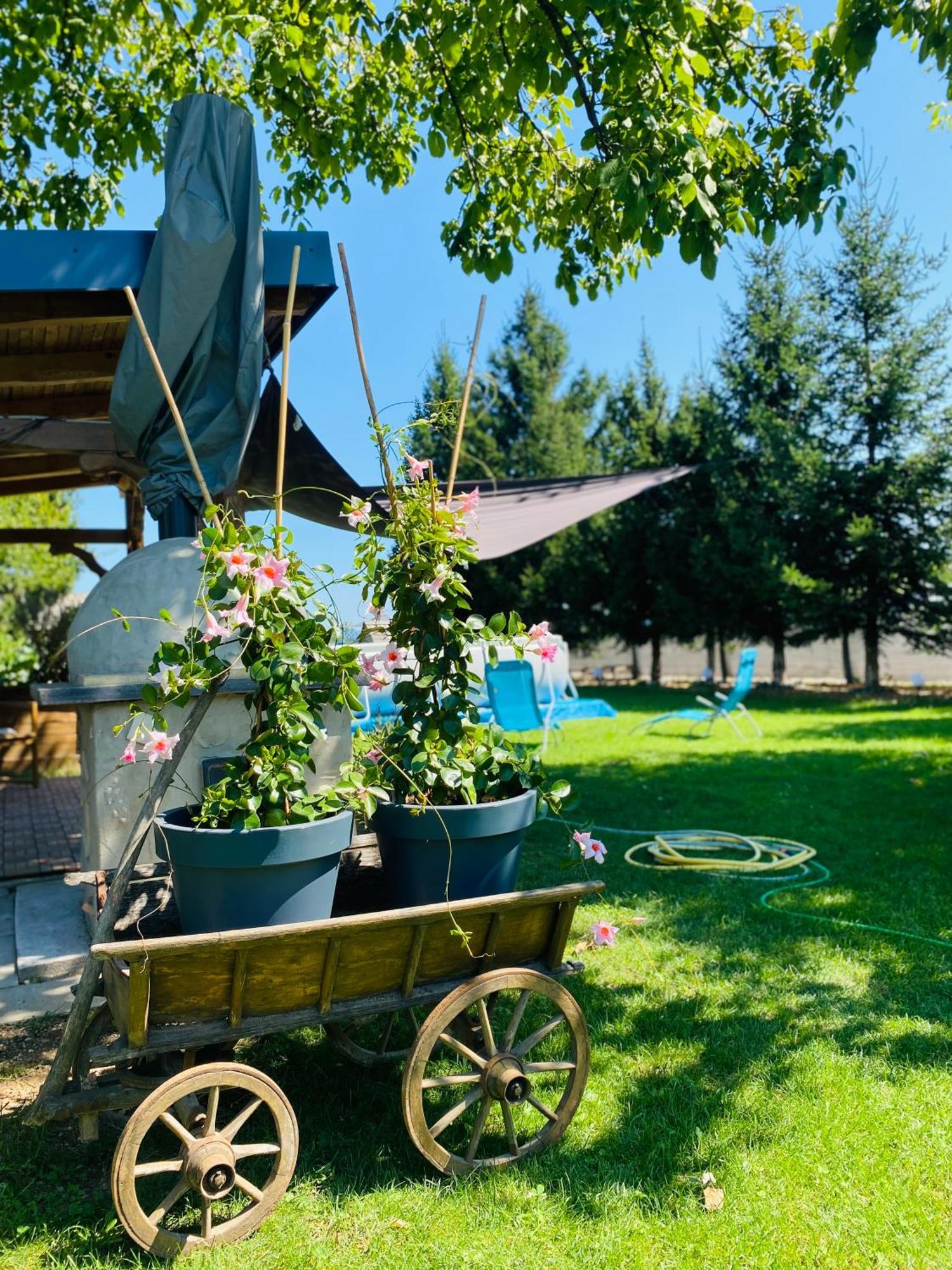 Rooms & Apartment Zala Airport Shuttle Option Cerklje na Gorenjskem Bagian luar foto