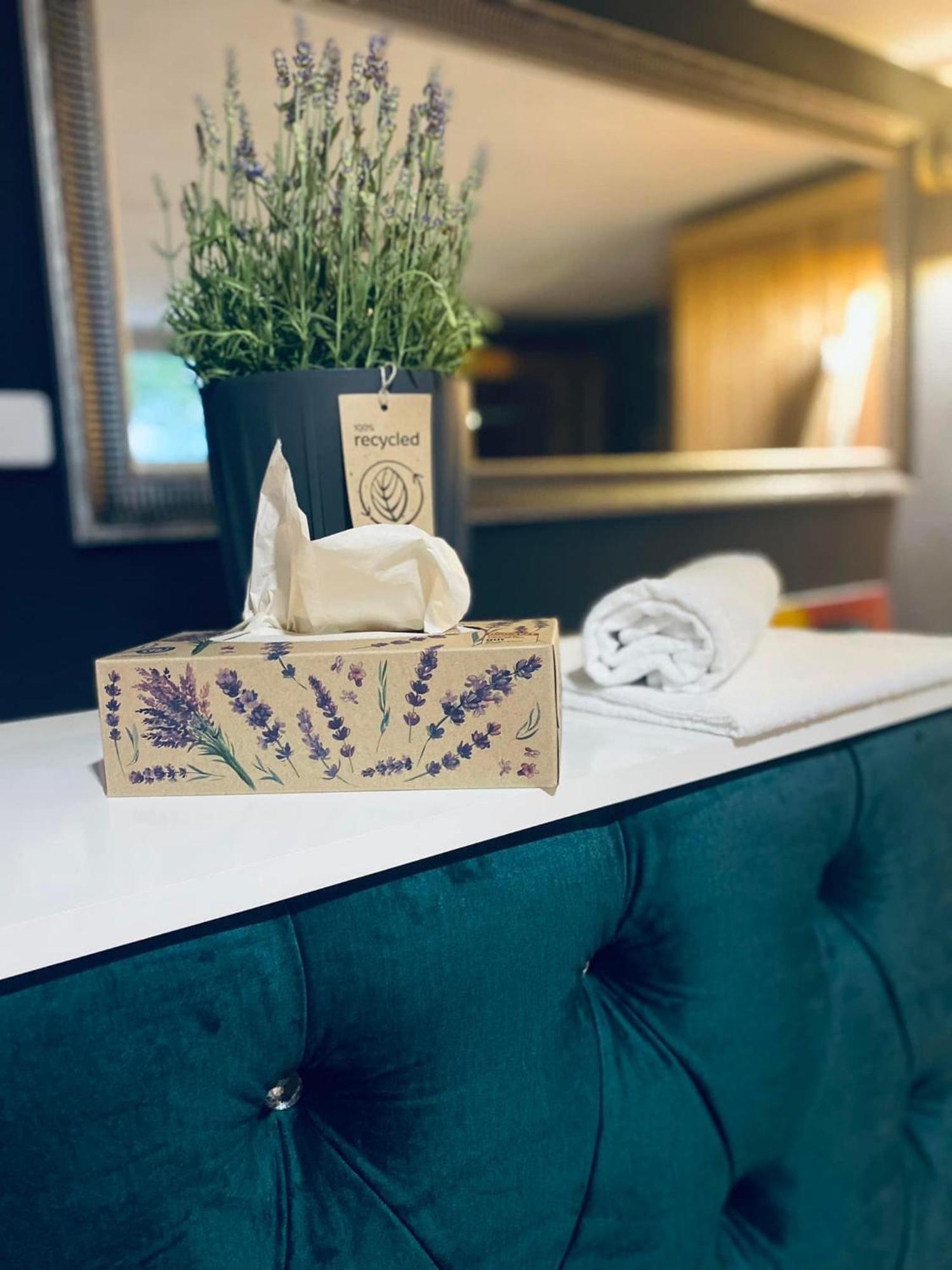 Rooms & Apartment Zala Airport Shuttle Option Cerklje na Gorenjskem Bagian luar foto
